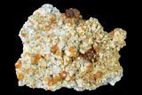 Spessartine Garnet Cluster on Feldspar - China #146683-1